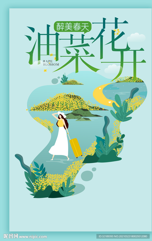 油菜花