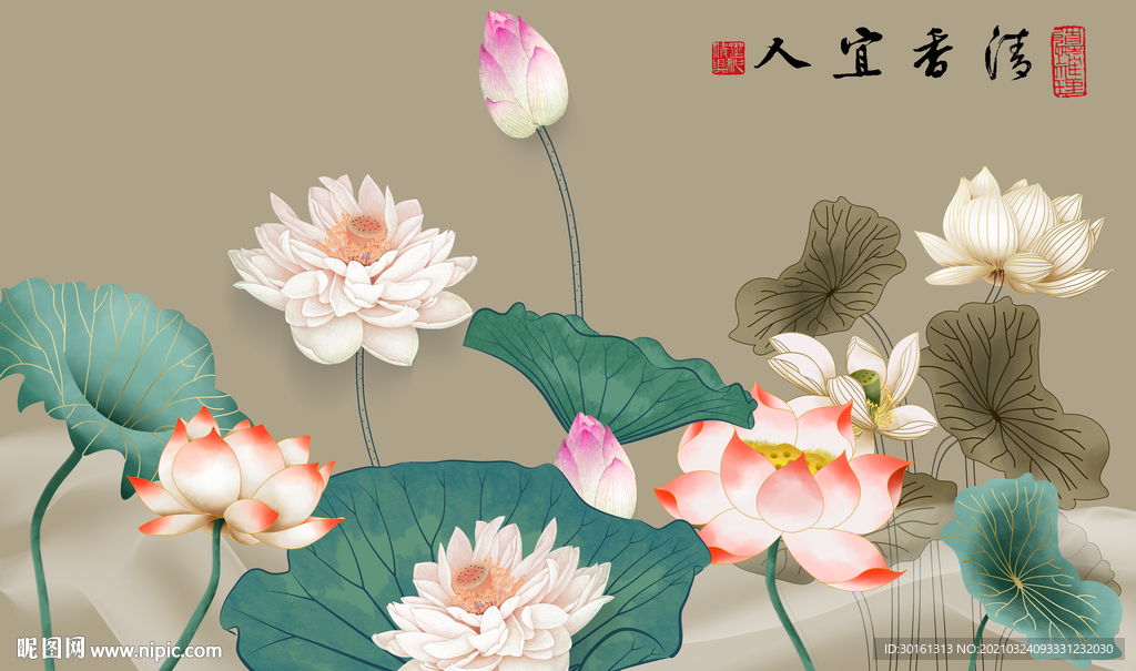 中式古典荷花背景