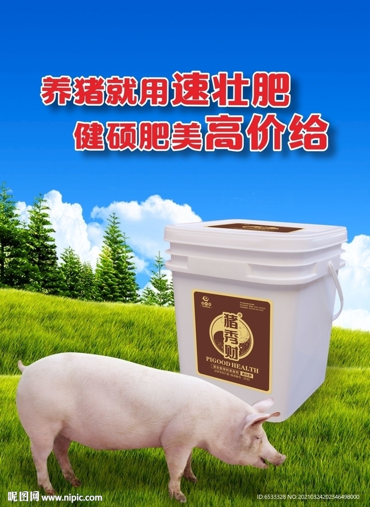 育肥猪