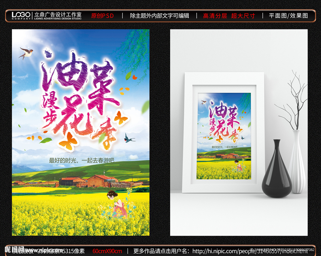 油菜花