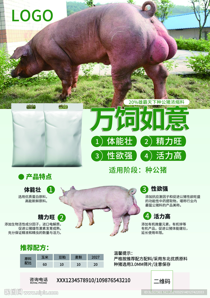 公猪饲料海报