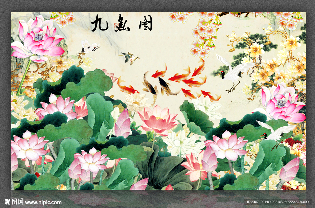 荷花九鱼图