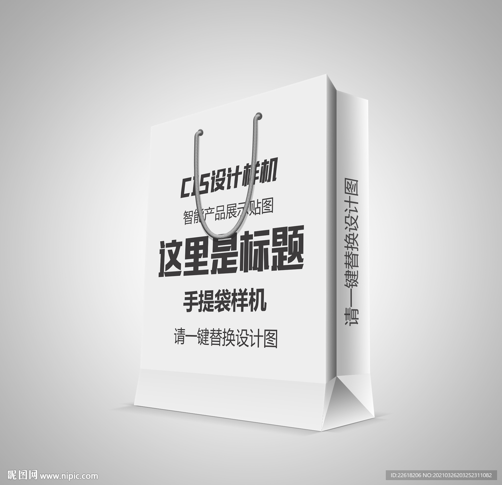 纸袋包装样机