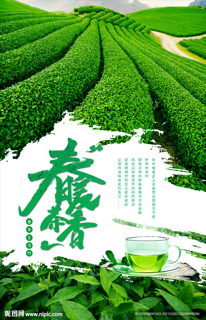 新茶上市