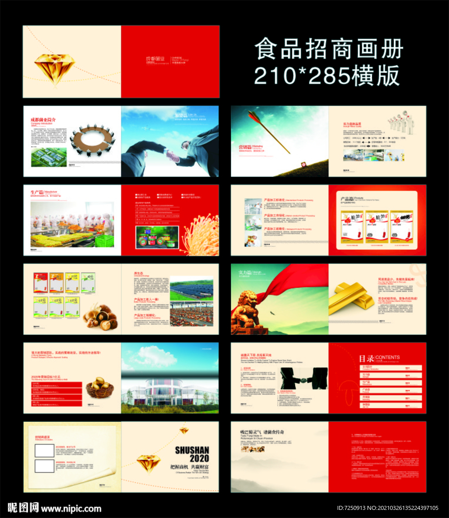 食品招商画册