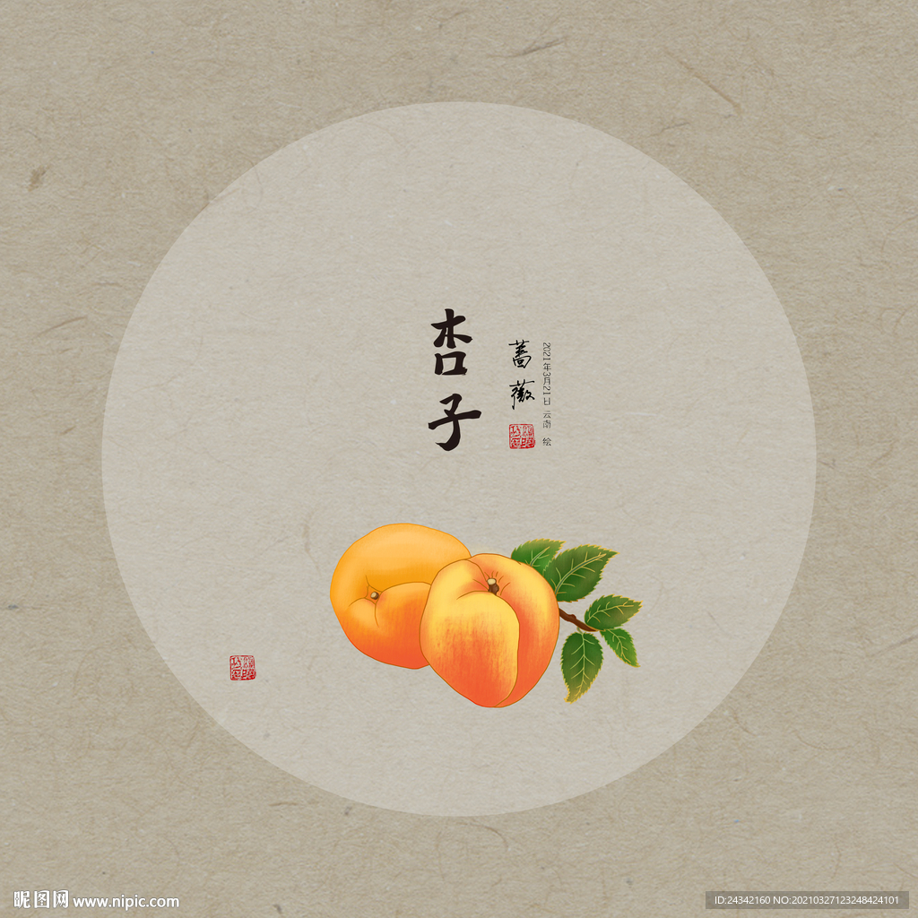 手绘杏