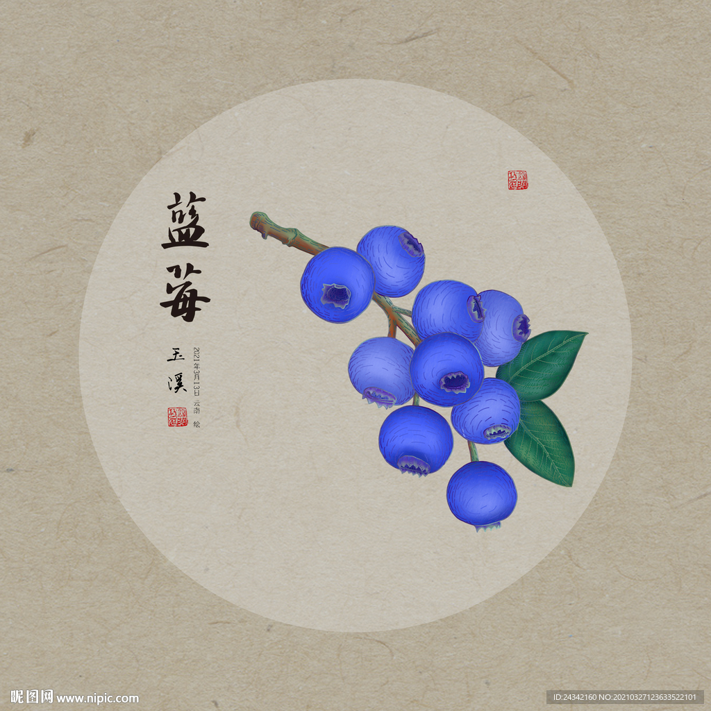 手绘蓝莓