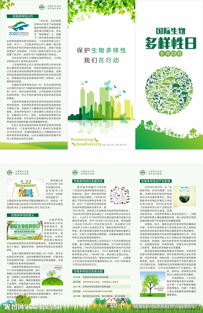 国际生物多样性日 宣传三折页