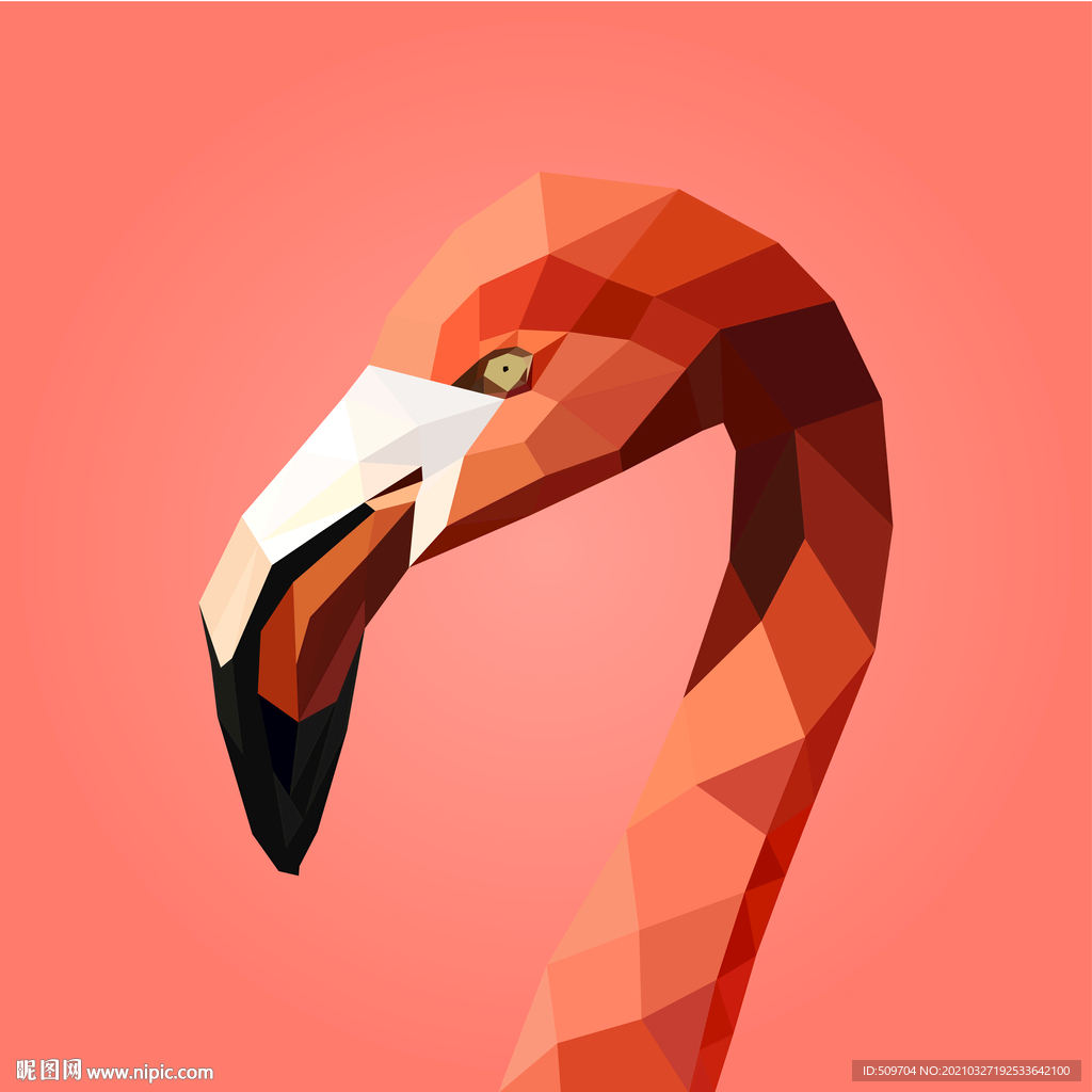 火烈鸟插画设计