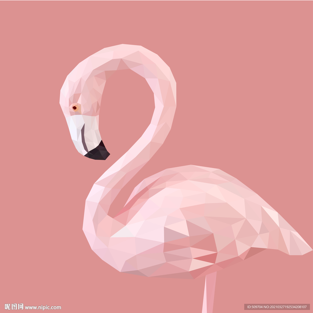 火烈鸟插画设计
