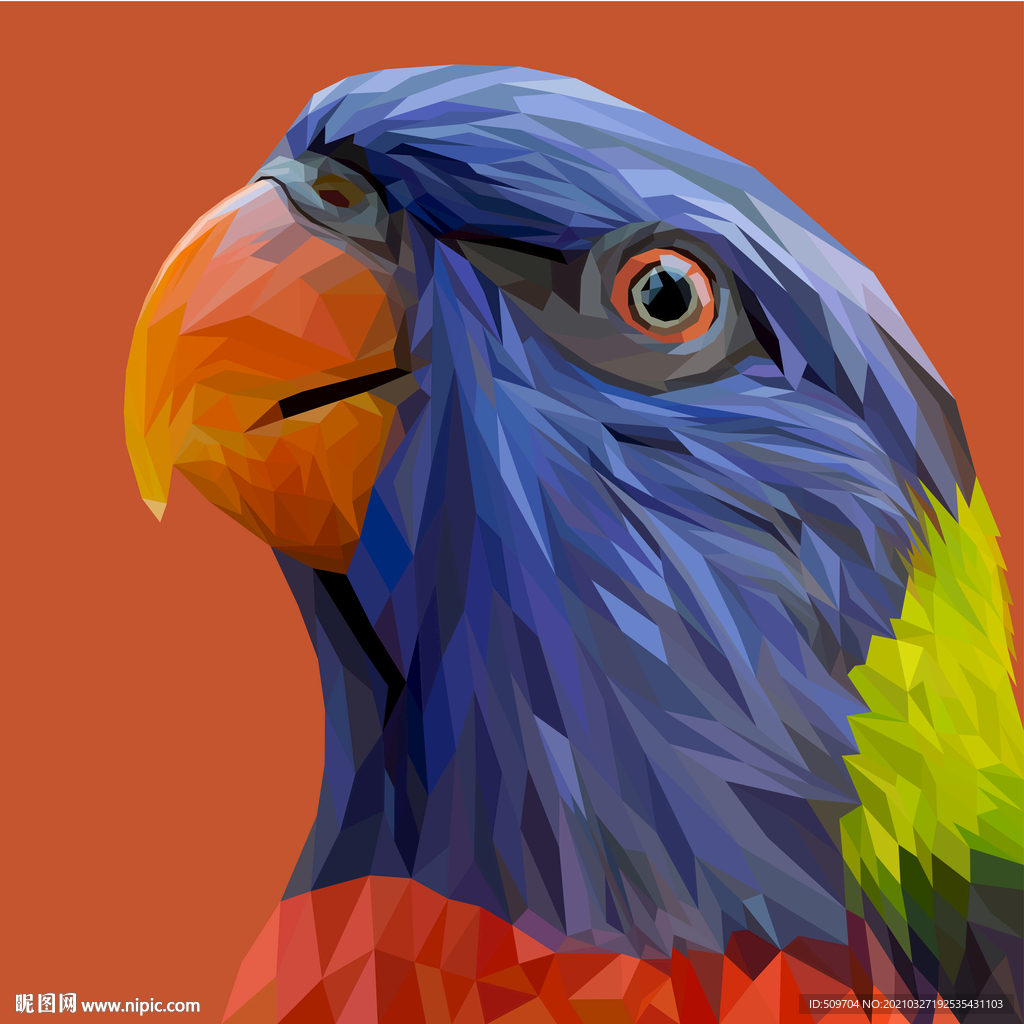 鹦鹉插画设计