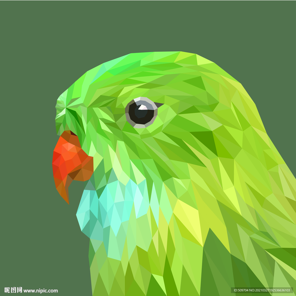 鹦鹉插画设计