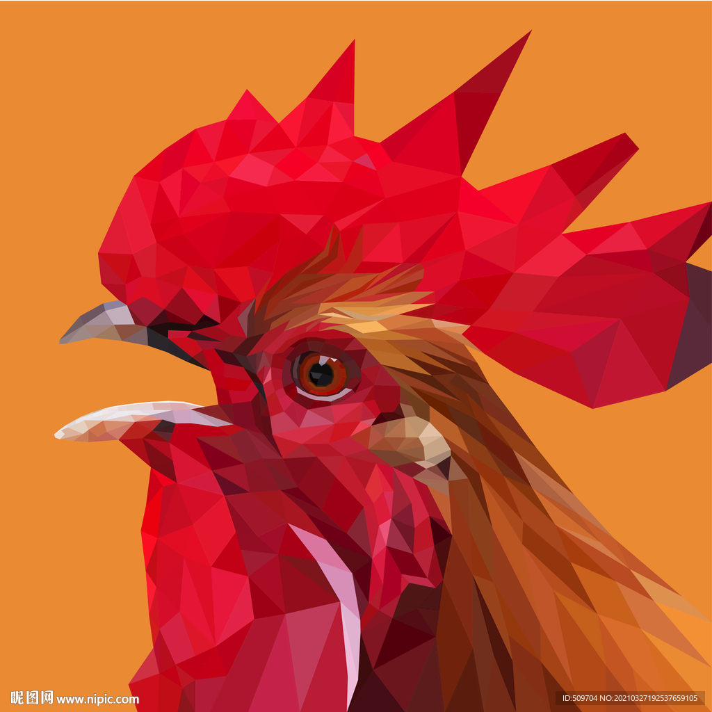 公鸡插画设计