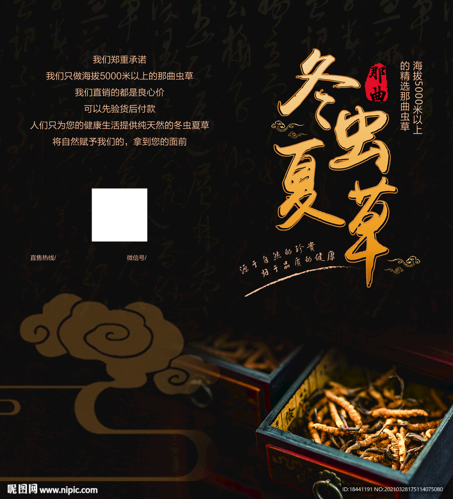 冬虫夏草对折页