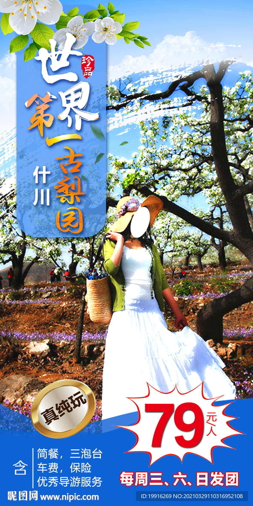 春季赏梨花  世界第一古梨园