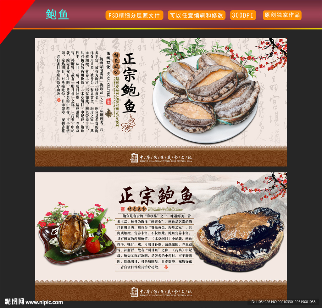 鲍鱼