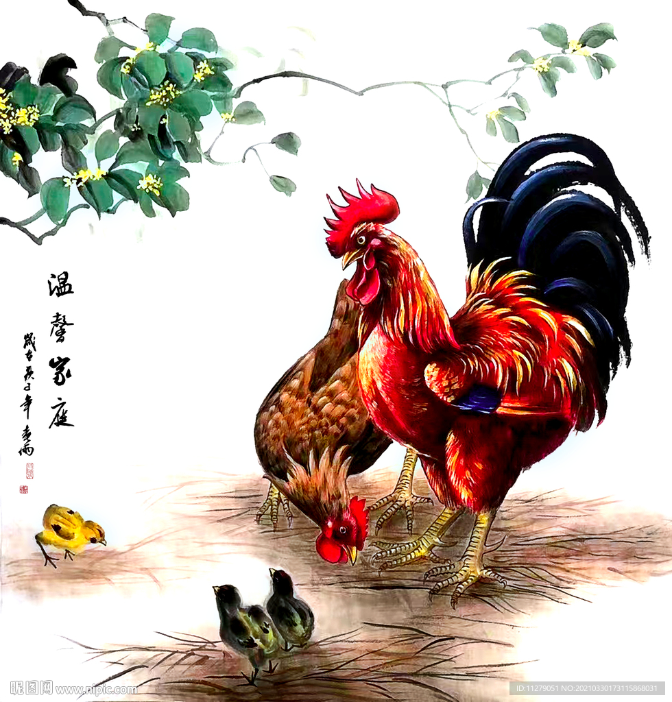 公鸡