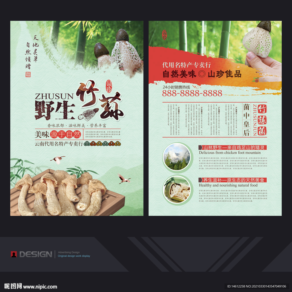 竹荪