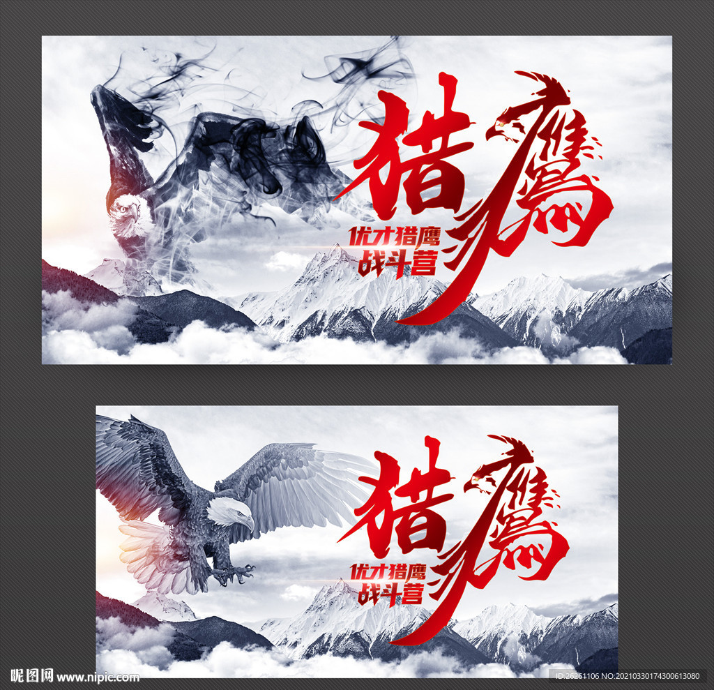 鹰
