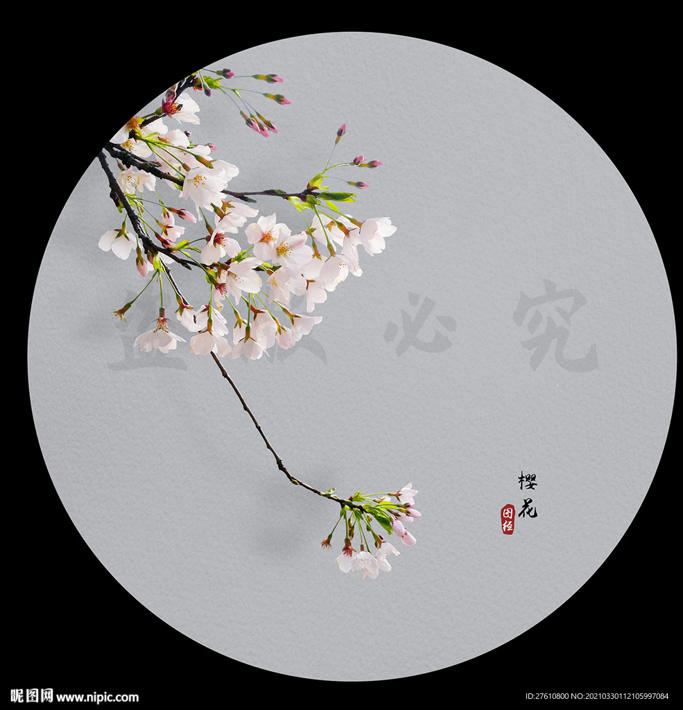 樱花