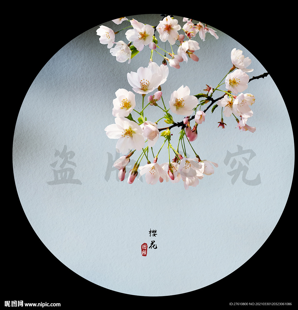 樱花
