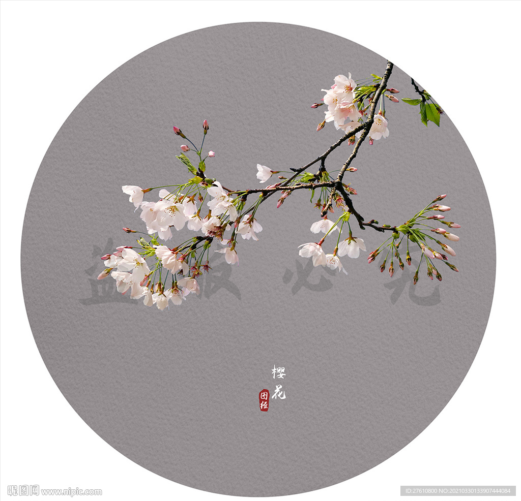樱花