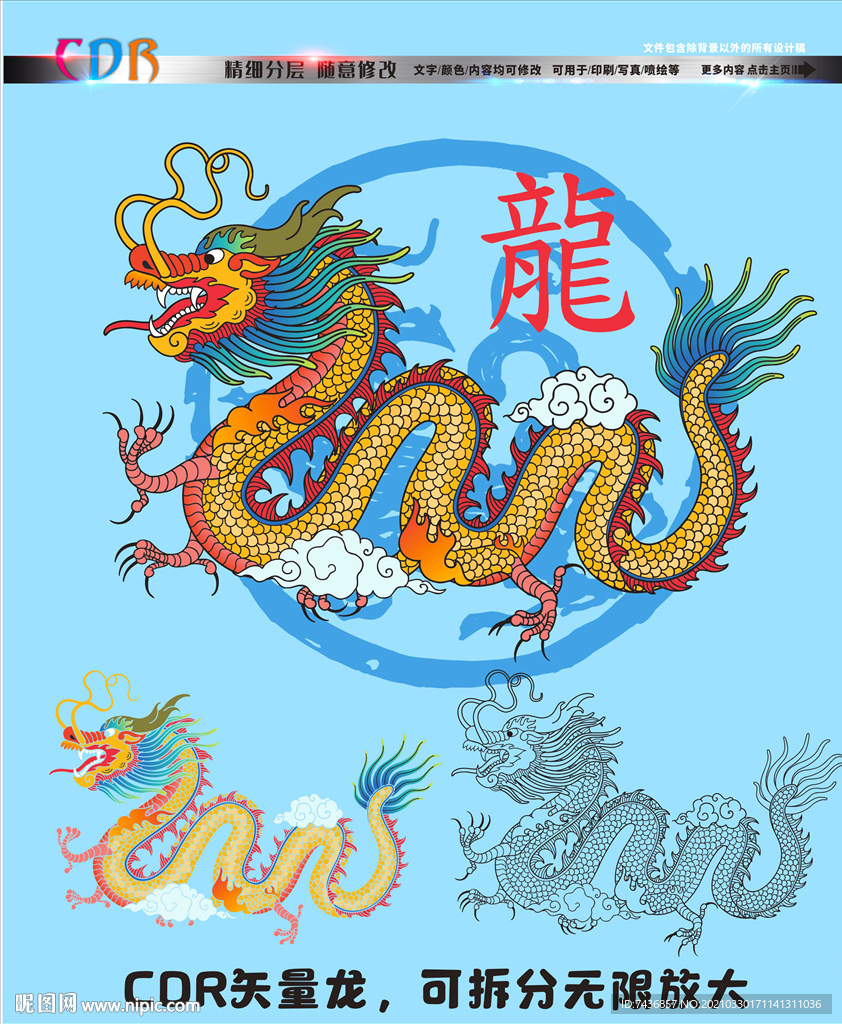 龙