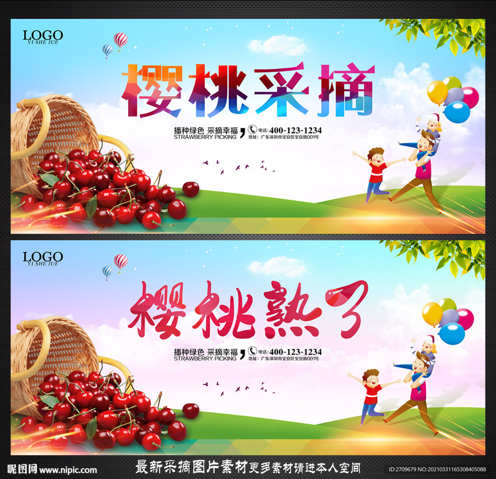 樱桃采摘