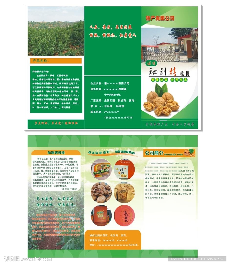 核桃彩页