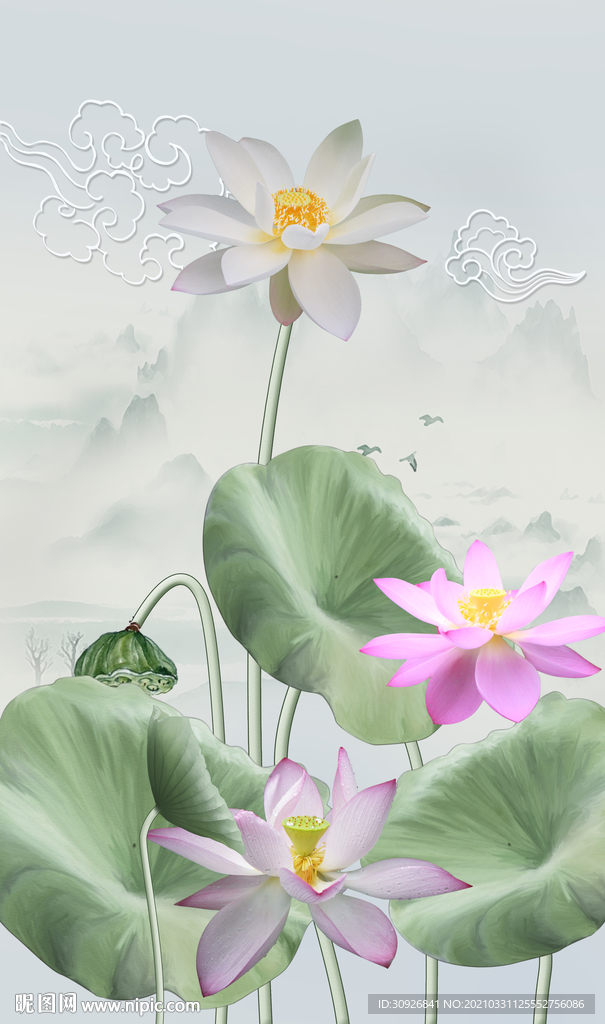 荷花玄关