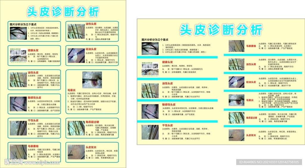 头皮诊断分析海报KT板