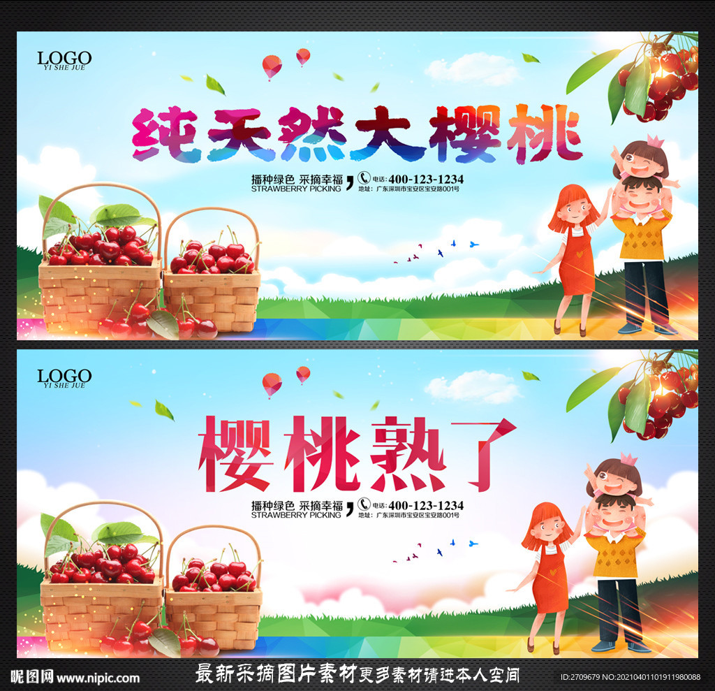 樱桃采摘