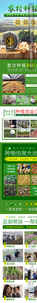 农业种黄精种植招商加盟页面图片