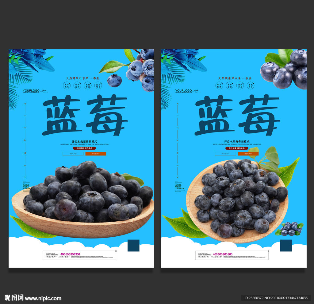 蓝莓