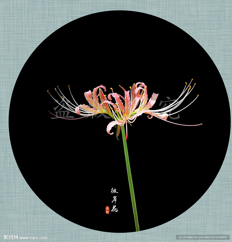 彼岸花