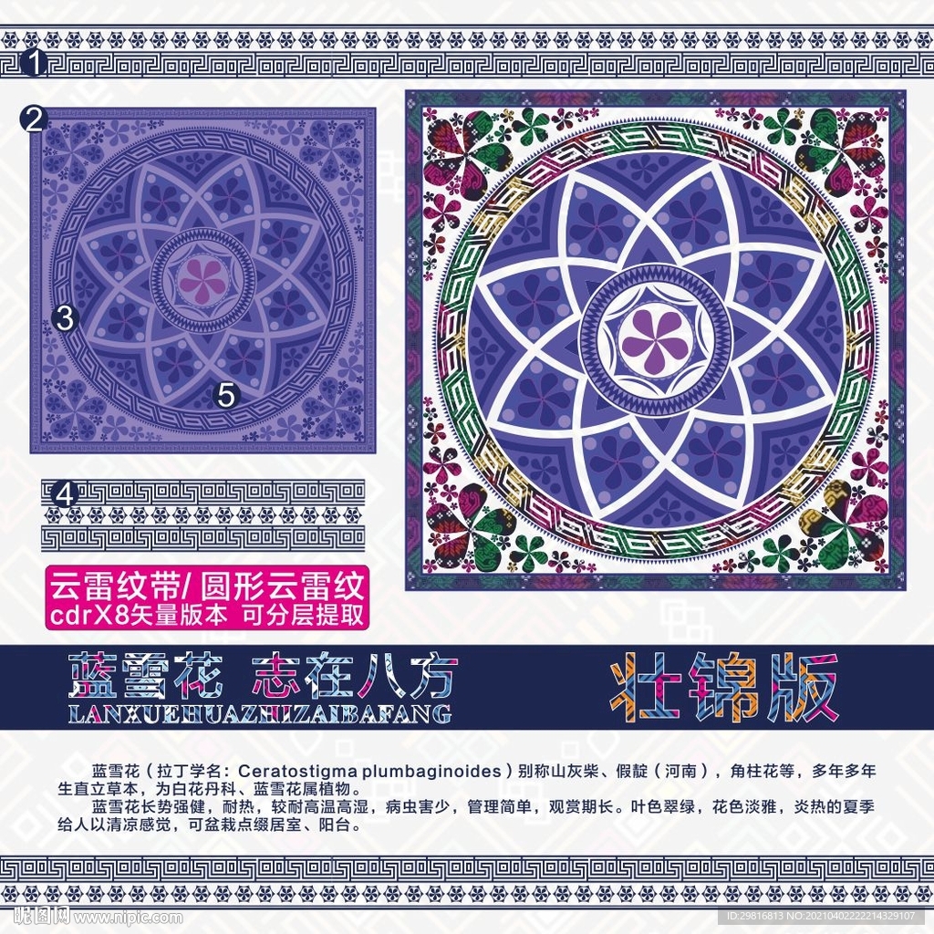 蓝雪花
