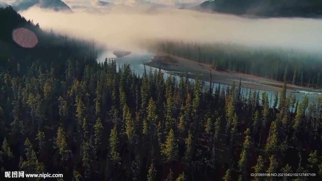 短视频素材森林河流云雾远山