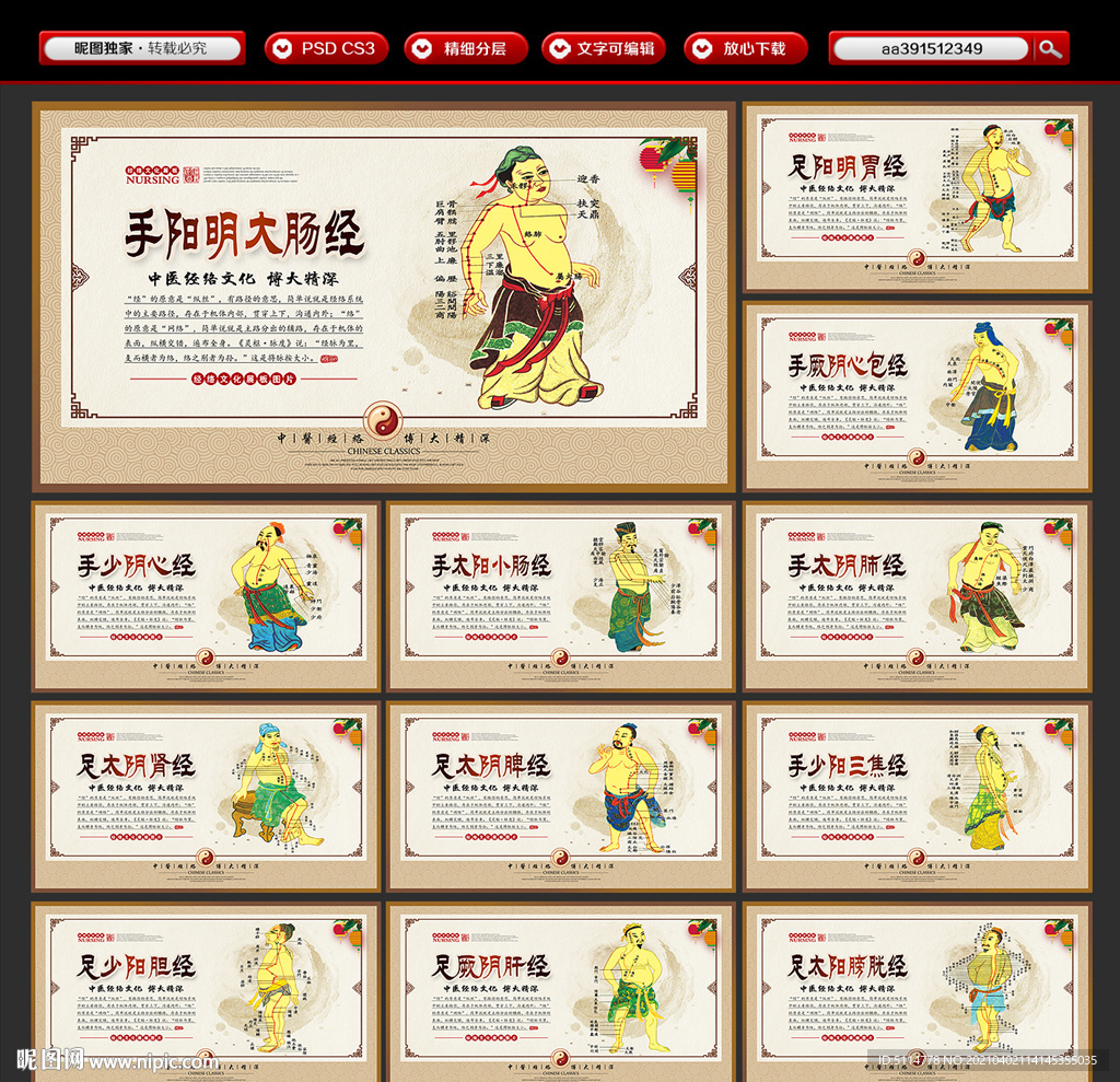 中医经络