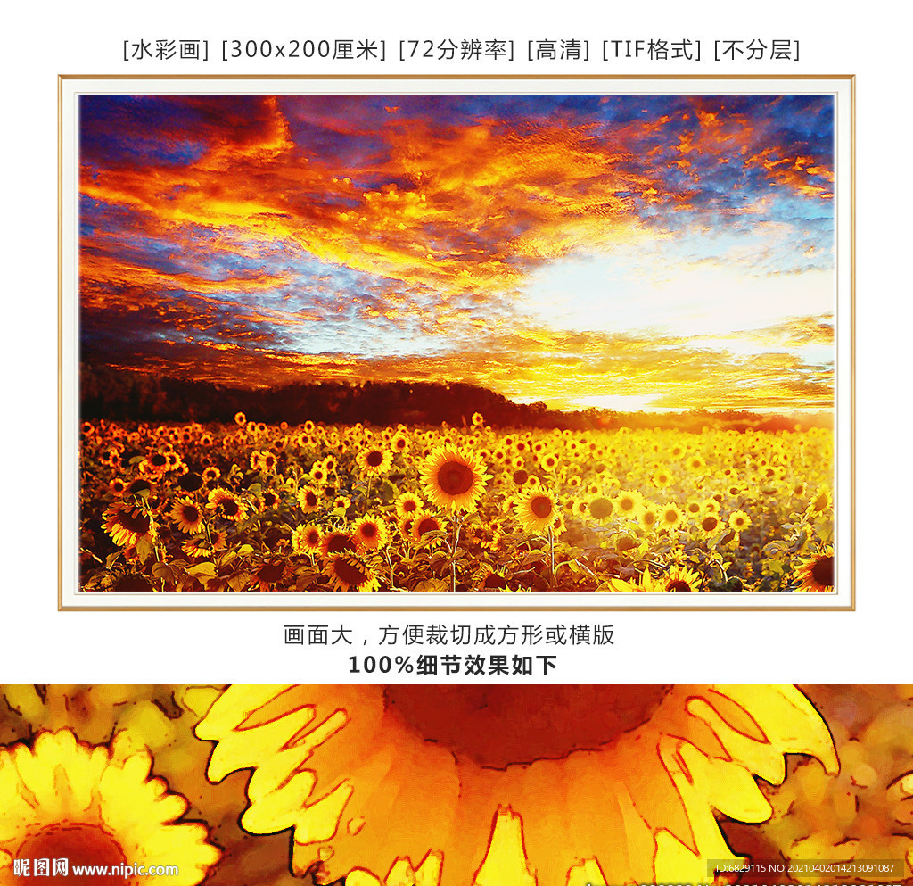 风景装饰画 天空 向日葵 花田