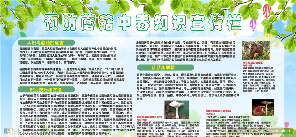 预防蘑菇中毒知识宣传栏