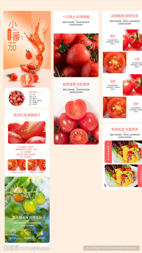 小番茄详情页