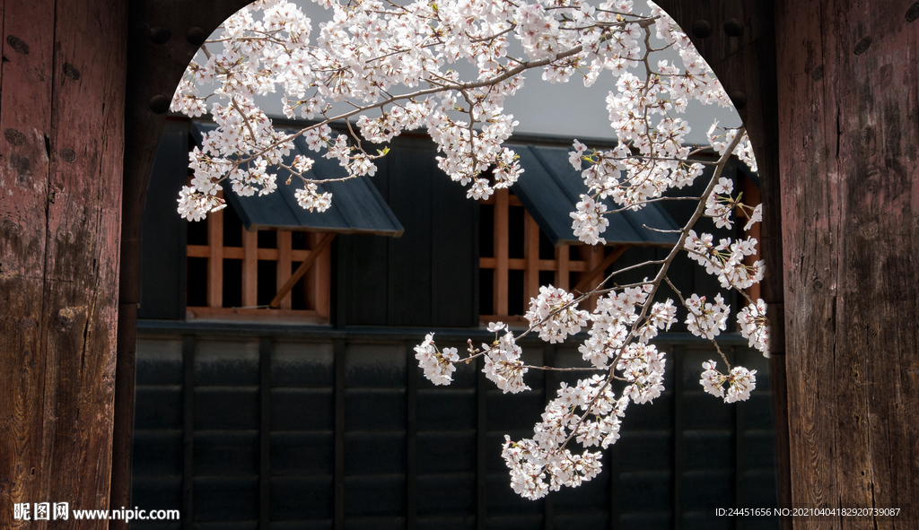 庭院