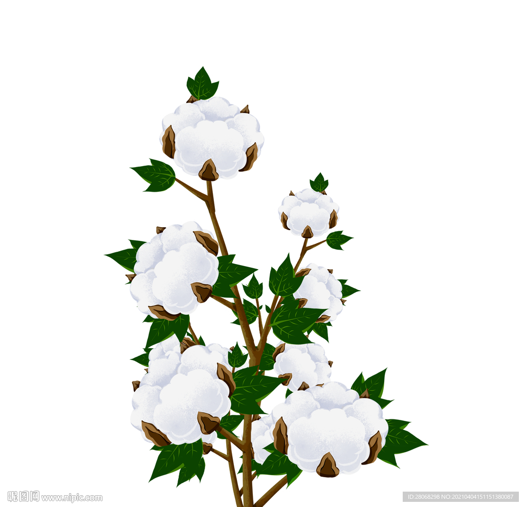 植物装饰白色棉花元素
