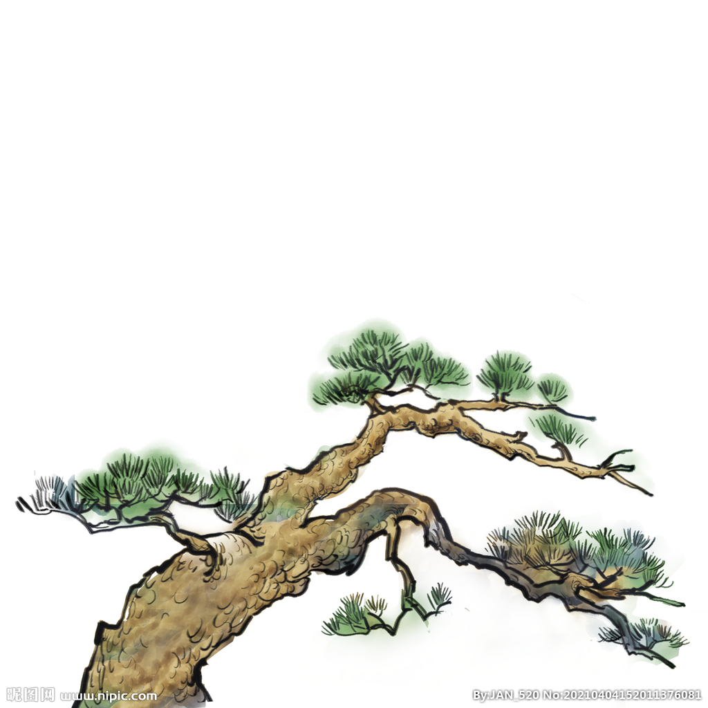 卡通松树装饰植物元素