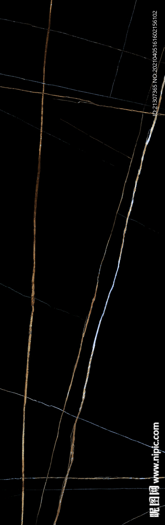 黑金花 金龙黑高清瓷砖设计