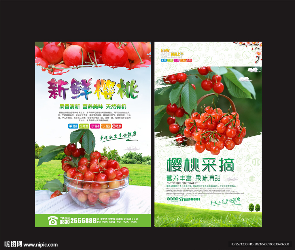 樱桃