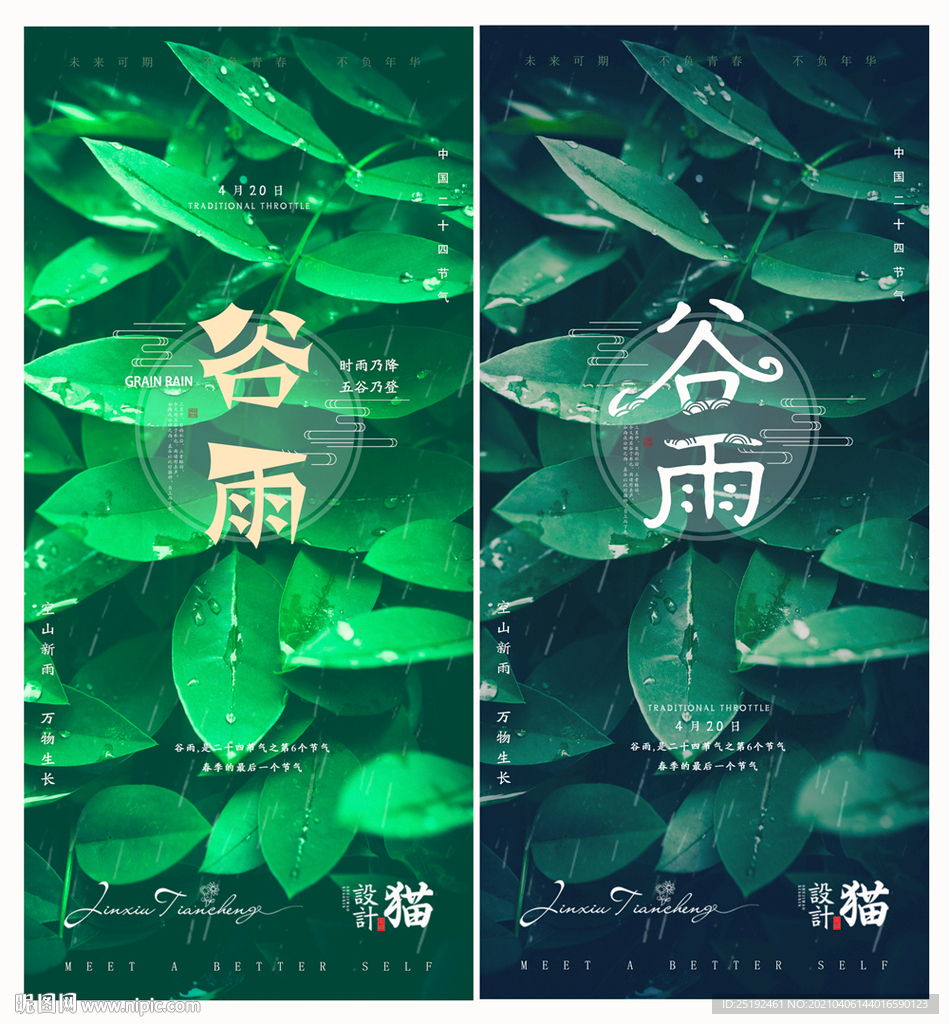 谷雨传统节气