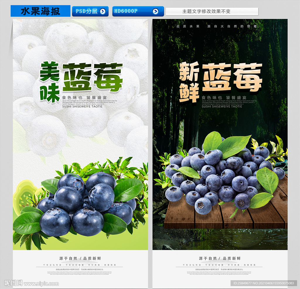 蓝莓海报