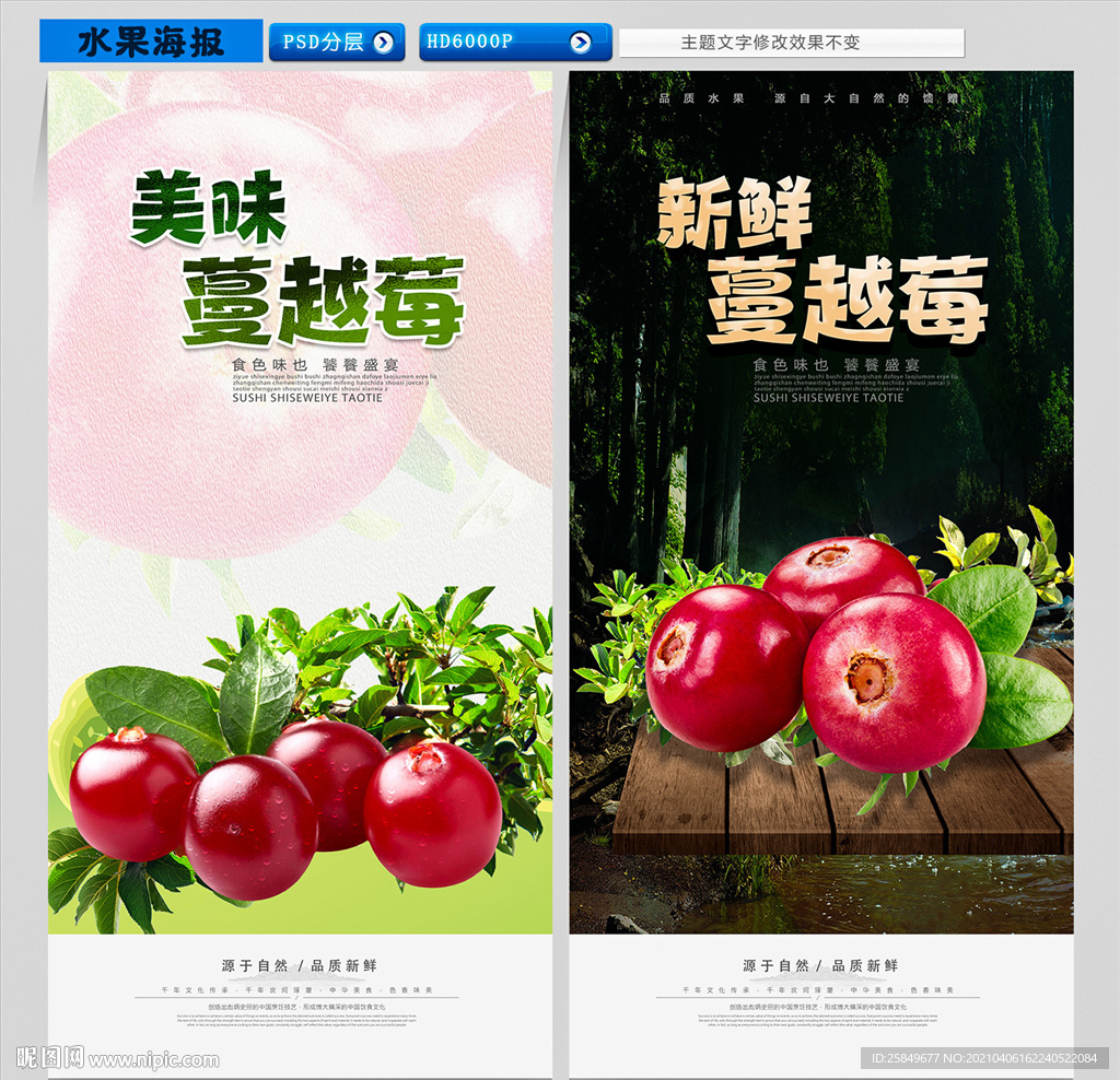 蔓越莓海报