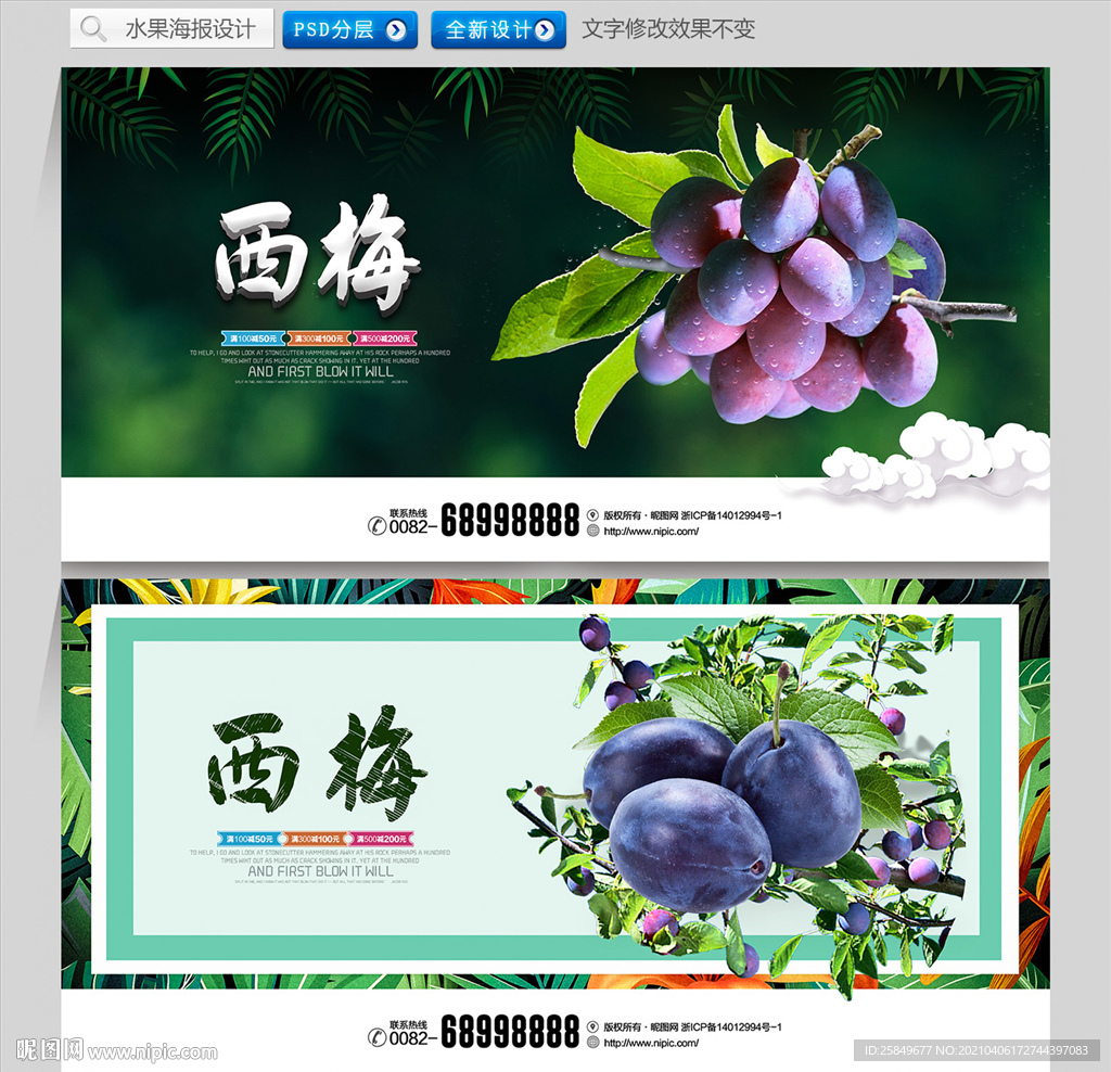 西梅